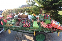 IMG_1201