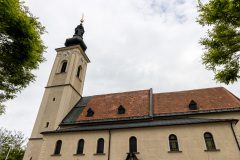 IMG_1253_1