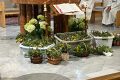 IMG_1579