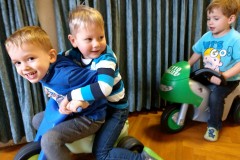 Zwergerln im Jänner